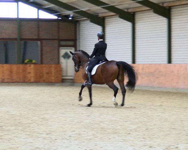 Reitturnier Würselen - Reitanlage Rueben 2022