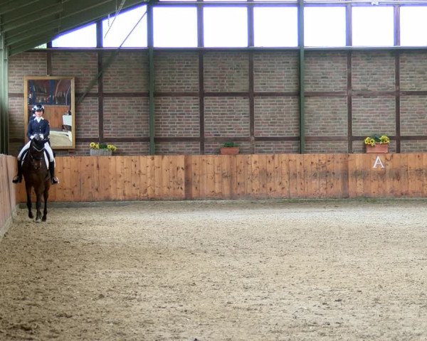 Reitturnier Würselen - Reitanlage Rueben 2022