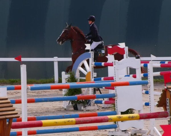 Reitturnier Bad Schmiedeberg 2022