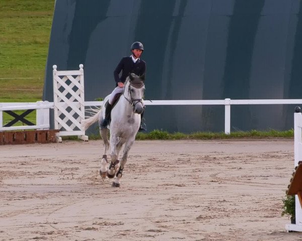 Reitturnier Bad Schmiedeberg 2022