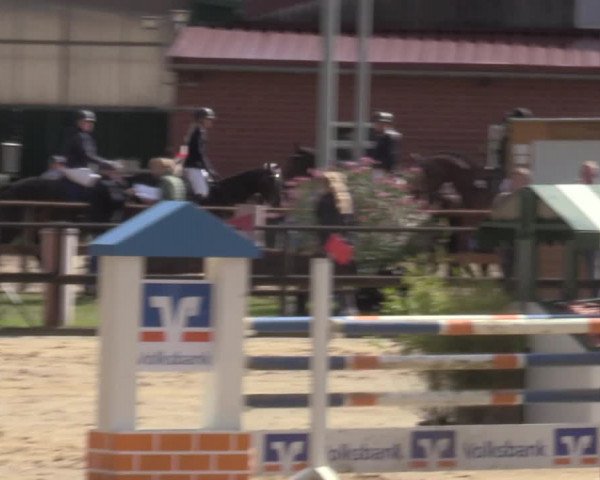 Reitturnier Albersloh 2022