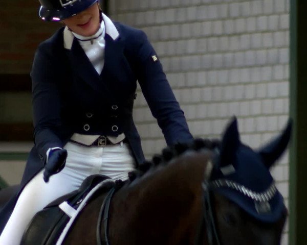 Reitturnier Würselen - Reitanlage Rueben 2022