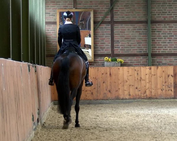 Reitturnier Würselen - Reitanlage Rueben 2022