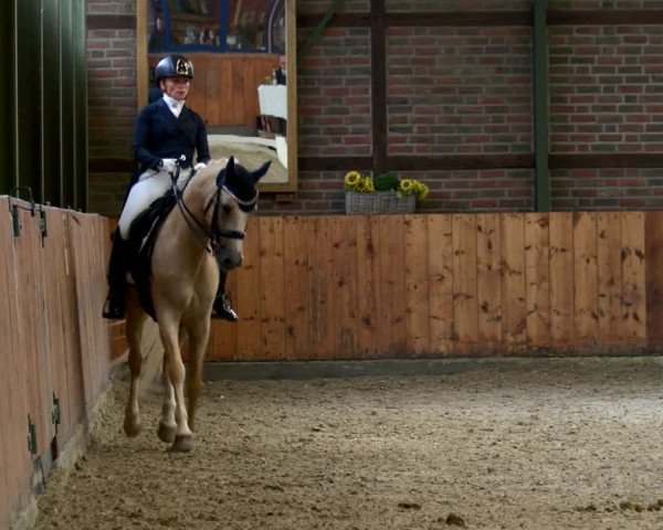 Reitturnier Würselen - Reitanlage Rueben 2022