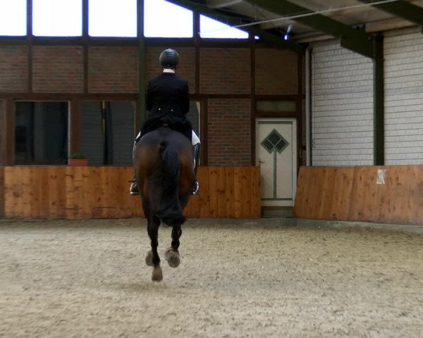 Reitturnier Würselen - Reitanlage Rueben 2022