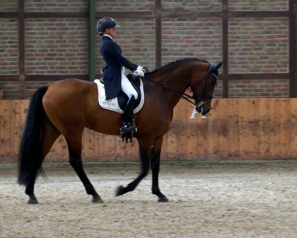 Reitturnier Würselen - Reitanlage Rueben 2022