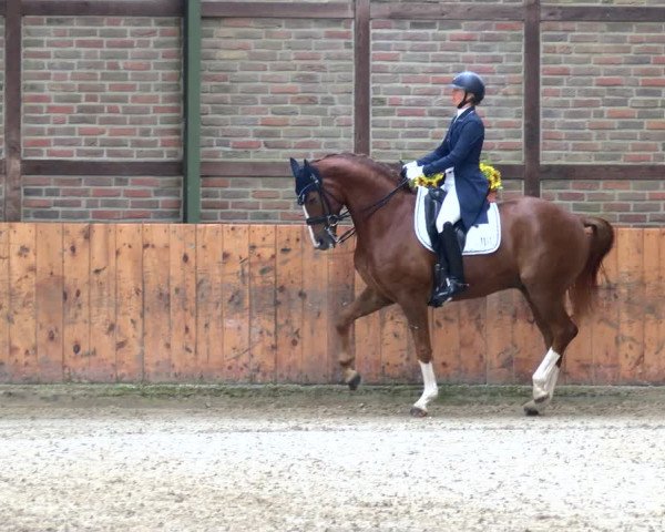 Reitturnier Würselen - Reitanlage Rueben 2022