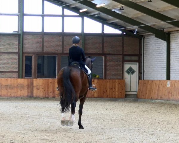 Reitturnier Würselen - Reitanlage Rueben 2022