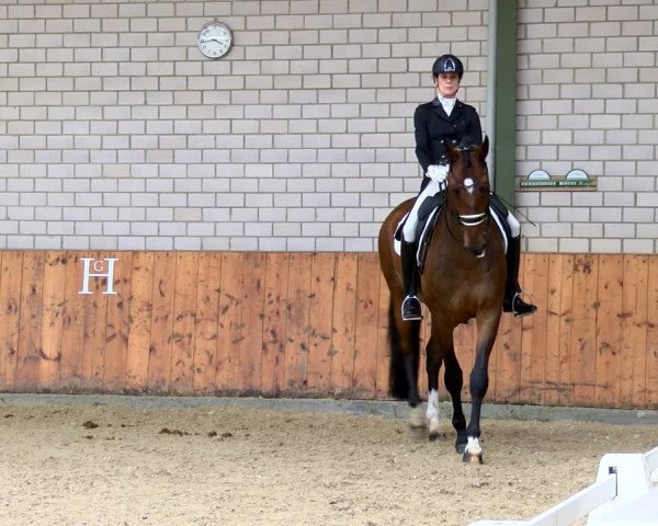 Reitturnier Würselen - Reitanlage Rueben 2022