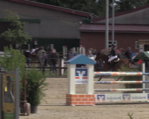 Reitturnier Albersloh 2022