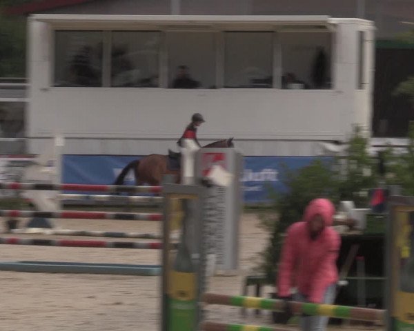 Reitturnier Albersloh 2022
