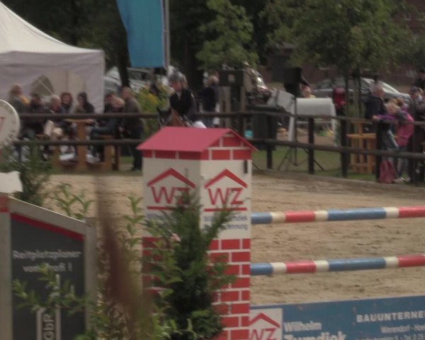 Reitturnier Albersloh 2022