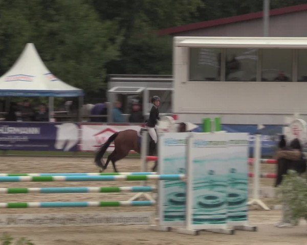 Reitturnier Albersloh 2022