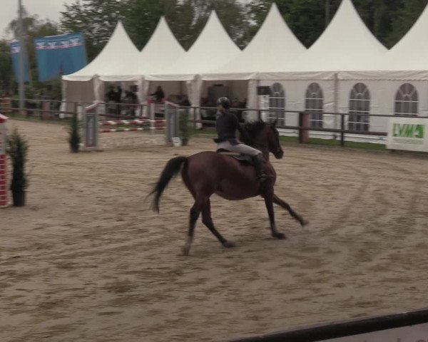 Reitturnier Albersloh 2022