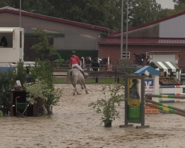 Reitturnier Albersloh 2022
