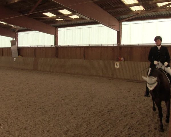 Reitturnier Bad Schmiedeberg 2022