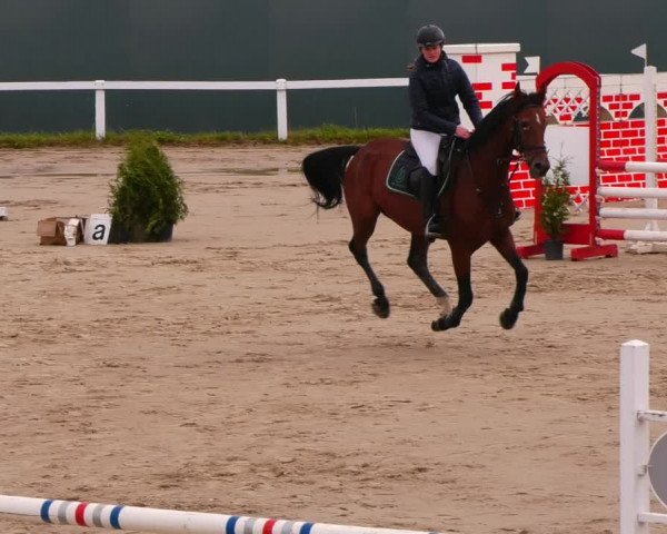 Reitturnier Bad Schmiedeberg 2022