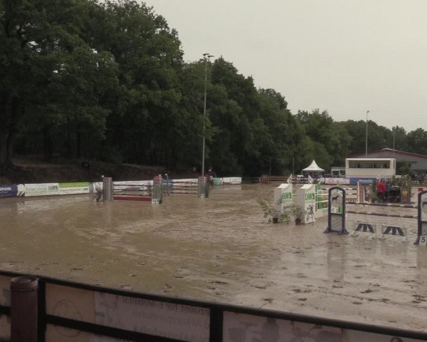 Reitturnier Albersloh 2022