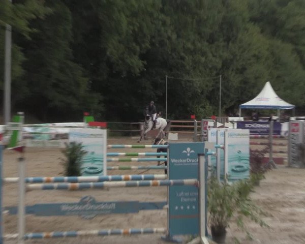 Reitturnier Albersloh 2022