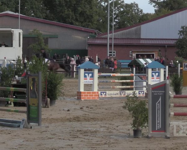 Reitturnier Albersloh 2022