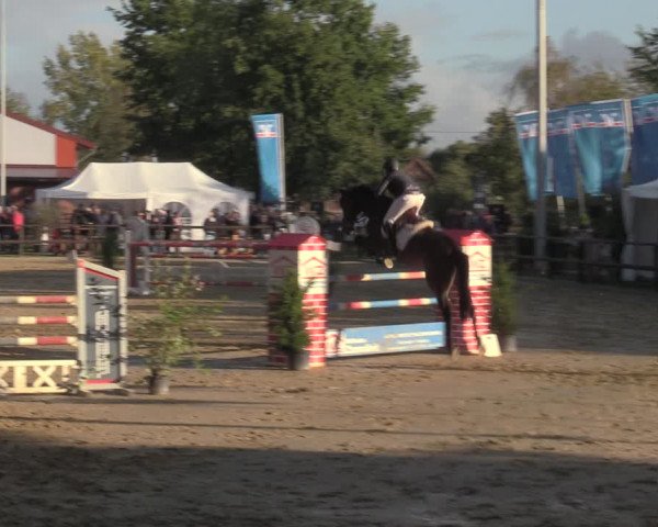Reitturnier Albersloh 2022