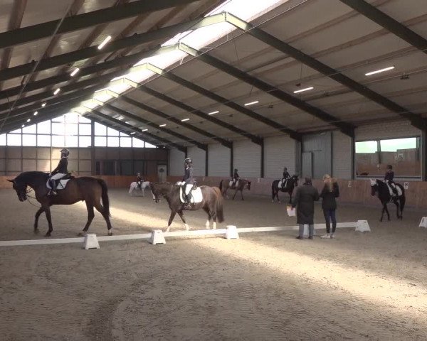 Reitturnier Würselen - Reitanlage Rueben 2022