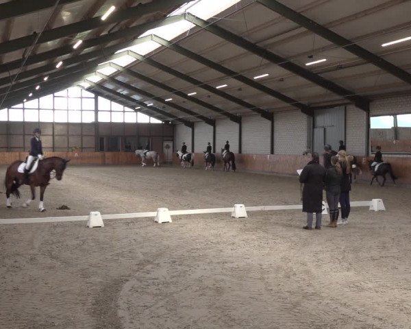 Reitturnier Würselen - Reitanlage Rueben 2022