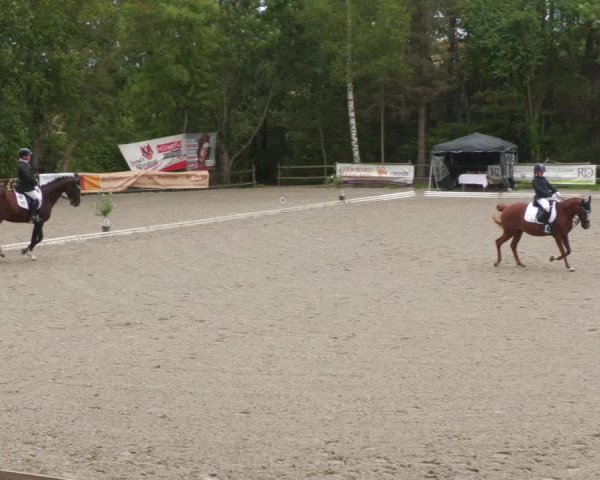 Reitturnier Ditzingen 2022