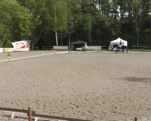 Reitturnier Ditzingen 2022