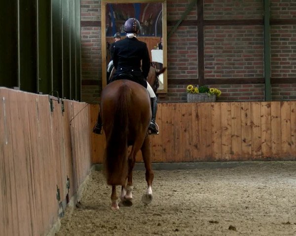 Reitturnier Würselen - Reitanlage Rueben 2022