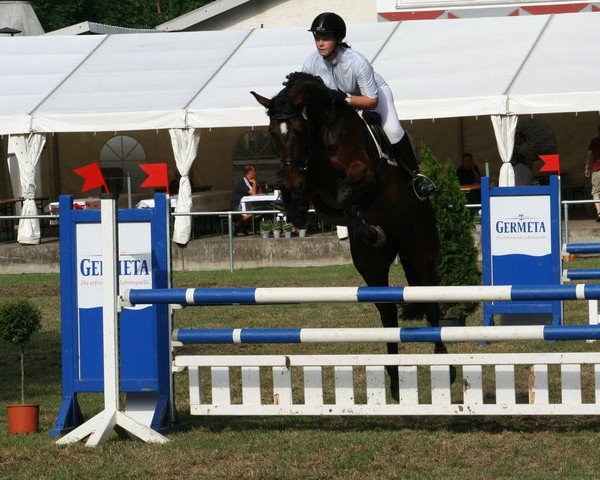 jumper Acalypsy (Hessian Warmblood, 2004, from Acalypso)