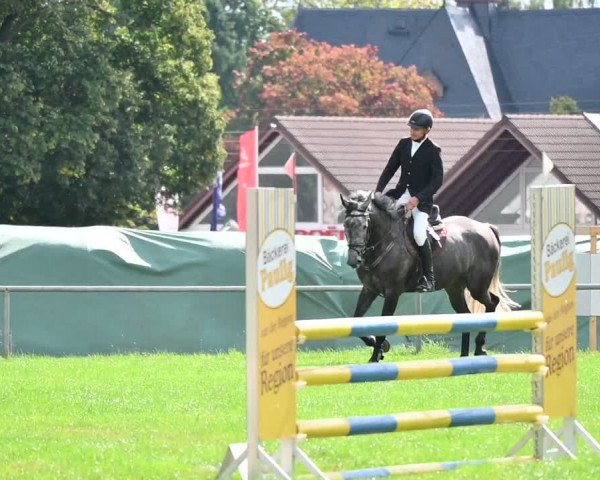 Reitturnier Altmittweida 2022