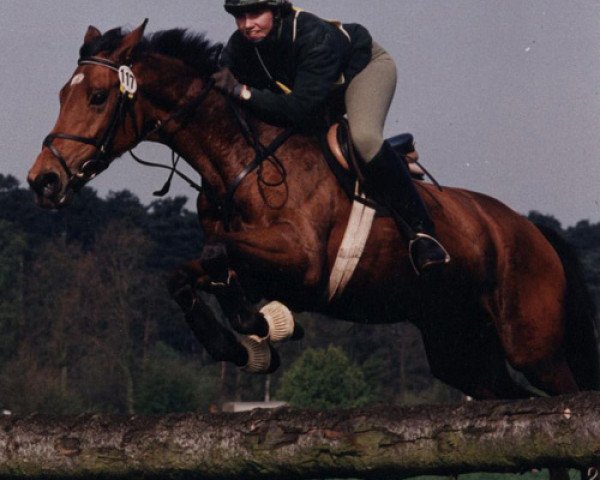 Fattrice Babycam (sconosciuto, 1984, di Marians Problem)