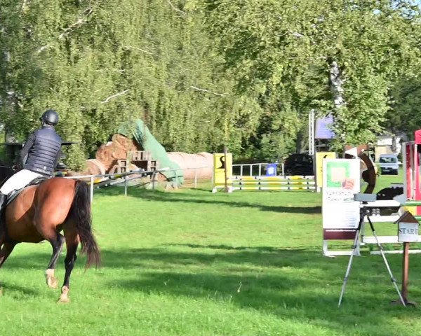 Reitturnier Altmittweida 2022