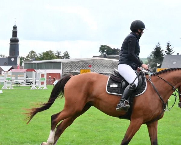 Reitturnier Altmittweida 2022