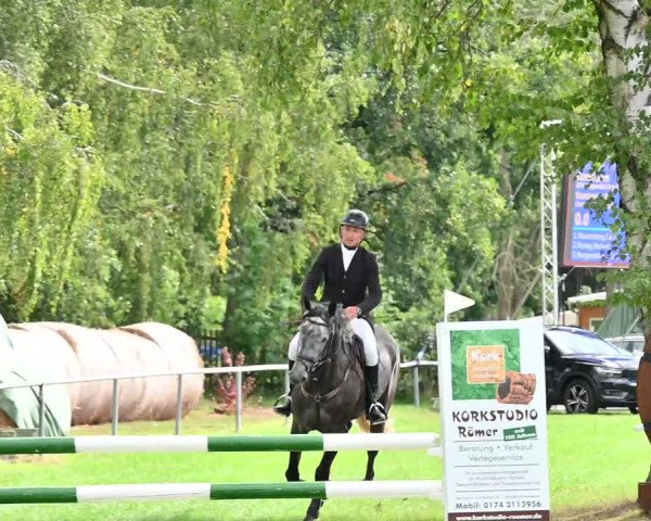 Reitturnier Altmittweida 2022