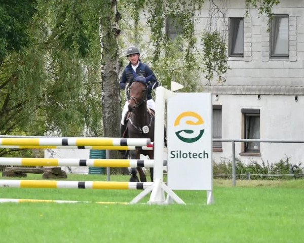 Reitturnier Altmittweida 2022