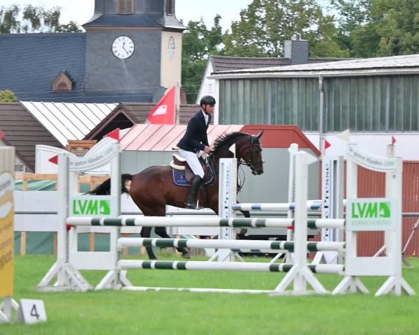 Reitturnier Altmittweida 2022