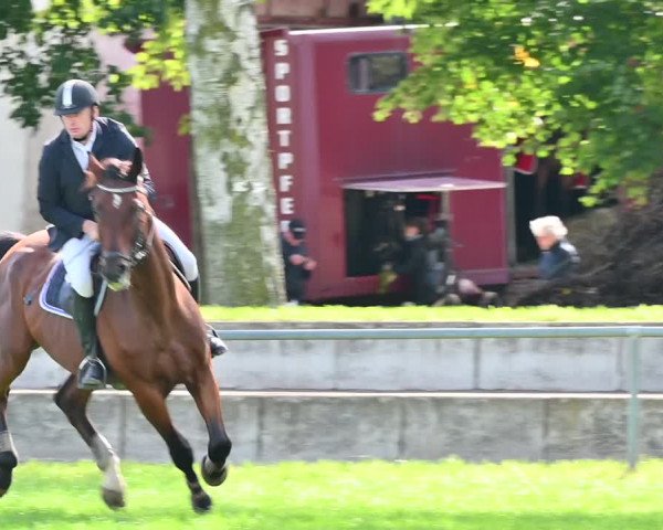 Reitturnier Altmittweida 2022