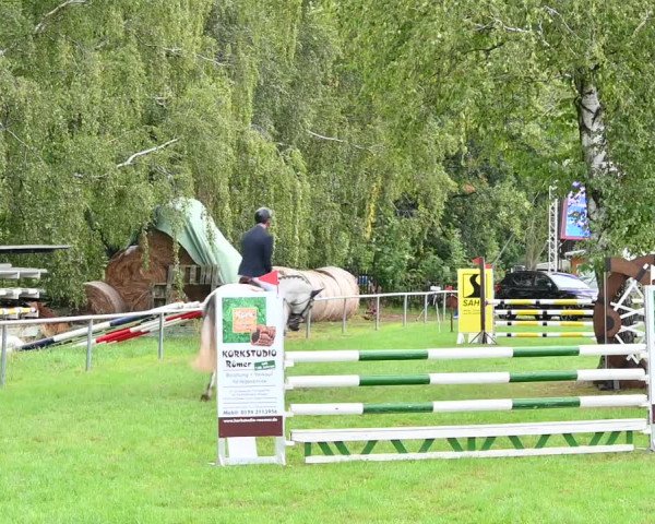 Reitturnier Altmittweida 2022