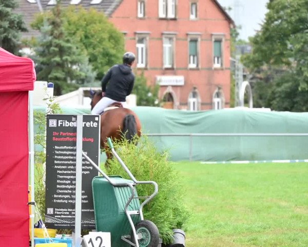 Reitturnier Altmittweida 2022