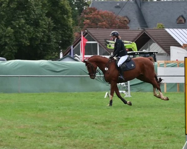 Reitturnier Altmittweida 2022