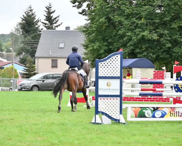 Reitturnier Altmittweida 2022