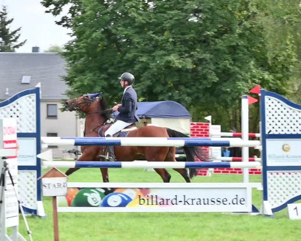 Reitturnier Altmittweida 2022
