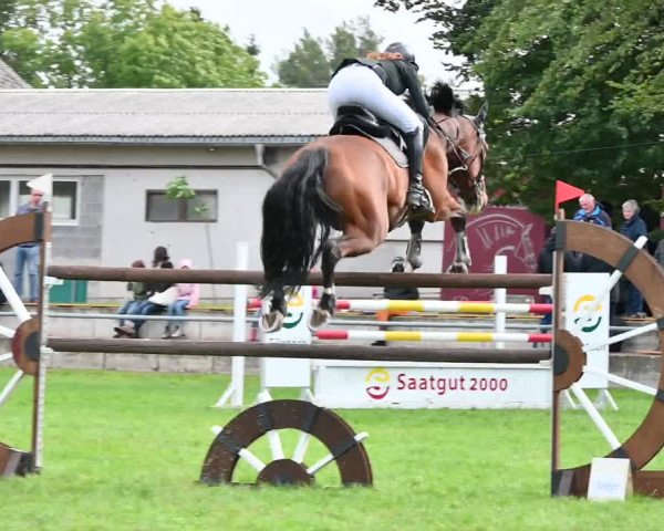 Reitturnier Altmittweida 2022