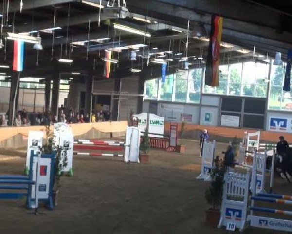 jumper Barbossa (KWPN (Royal Dutch Sporthorse), 2005, from Burggraaf)
