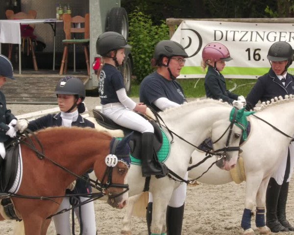 Reitturnier Ditzingen 2022