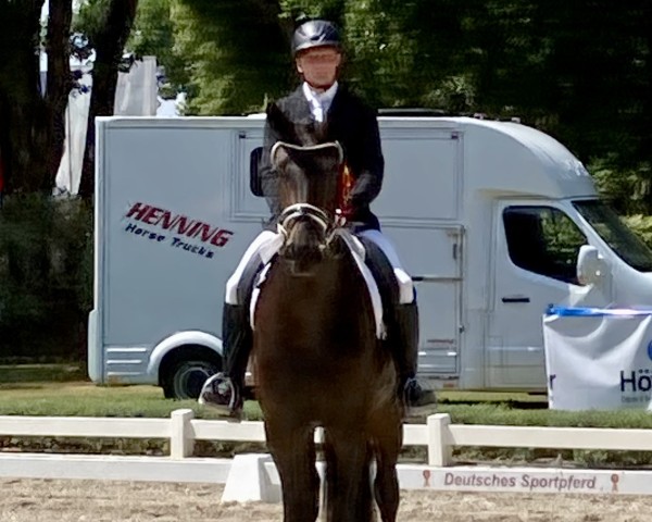 broodmare Mallorca 9 (German Sport Horse, 2019, from Morricone) broodmare Mallorca 9 (German Sport Horse, 2019, from Morricone)