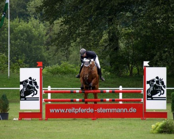 Springhest Dorella (Westfaler, 2005, fra De Crillon xx)