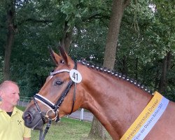 broodmare Flavienne 2 (Hanoverian, 2018, from Fürst Romancier)